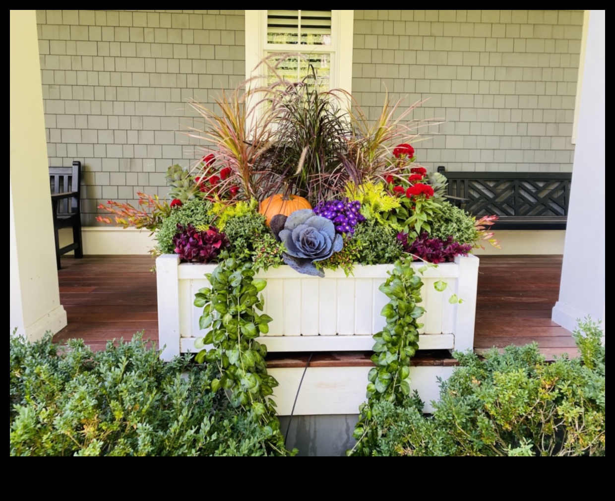 Fler artistic: ridică-ți grădina cu creații captivante