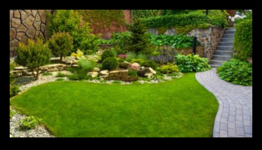 Fler artistic: ridică-ți grădina cu creații captivante