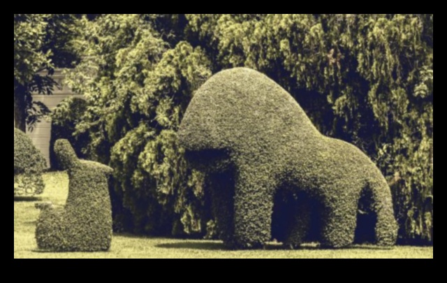 Fler artistic: ridică-ți grădina cu creații captivante