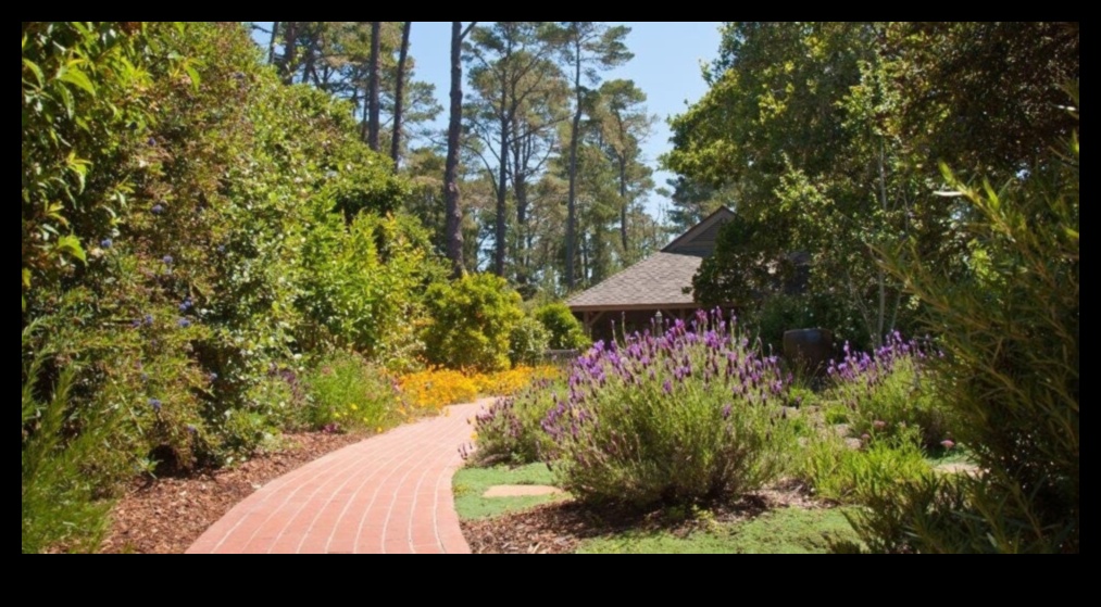 Fler artistic: ridică-ți grădina cu creații captivante