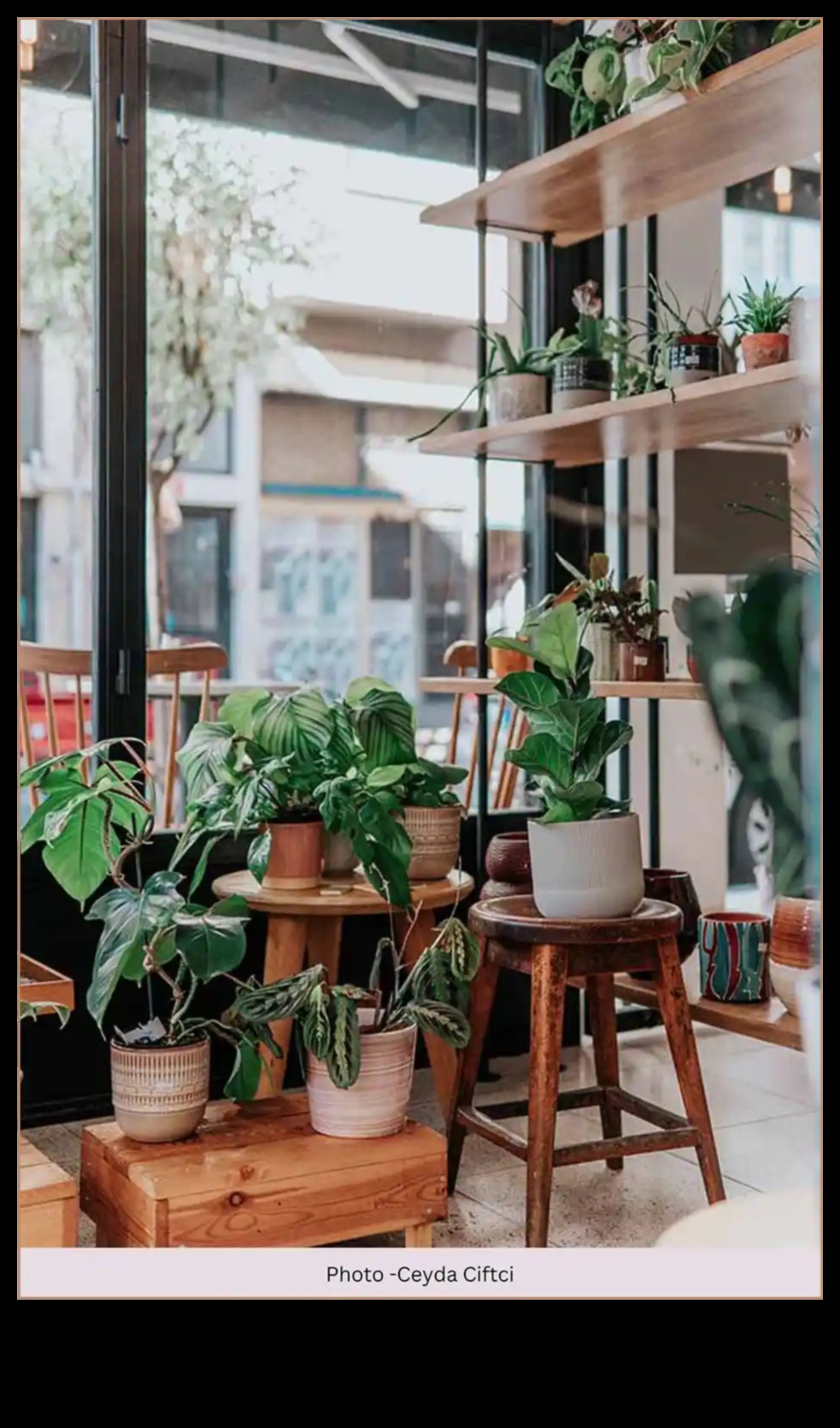 Dați viață peisajului dvs. cu un decor captivant de grădină 4 Inspiră viață în peisajul tău: decor captivant de grădină