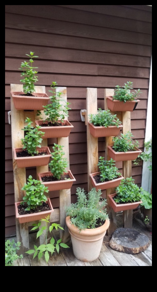 Elevated Greenery: The Poetry of Vertical Gardening