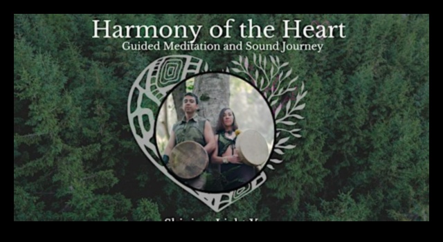 Armonie ghidată Un ghid pentru a-ți cultiva bunăstarea prin meditație 5 Armonie ghidată: hrănește-ți bunăstarea prin meditație