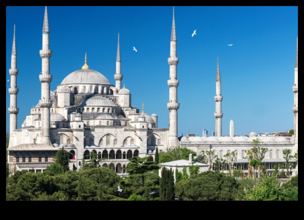 Trail Tales Descoperiți orașul ascuns într-un tur ghidat de mers pe jos 3 Trail Tales: Povești din excursii cu ghid