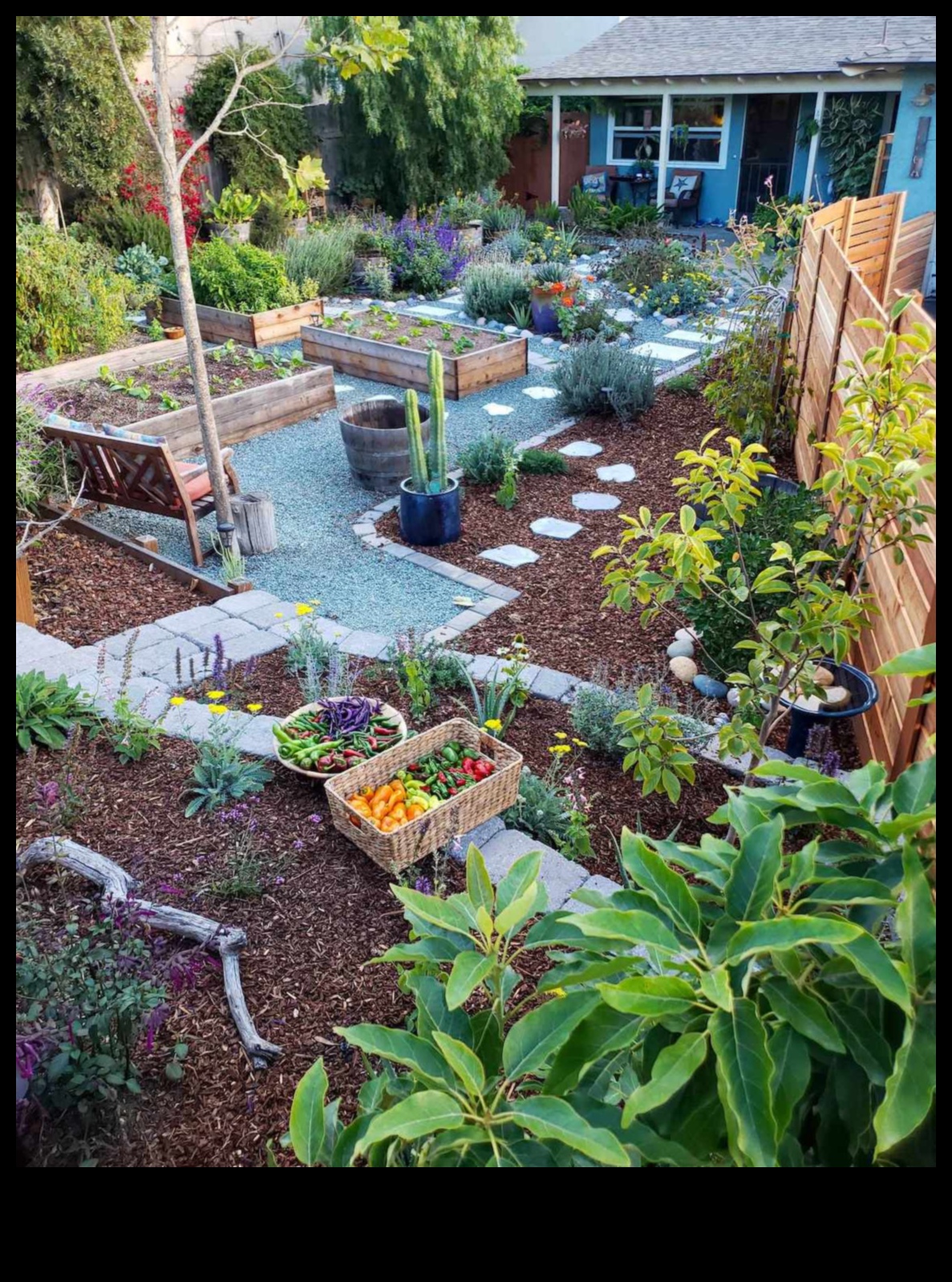 Whimsy in Bloom Peste 50 de proiecte distractive și unice pentru grădină DIY de încercat 5 Whimsy in Bloom: aventuri distractive și unice pentru grădinărit cu bricolaj