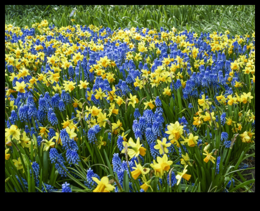 Câmpuri înfloritoare: Tapiseria de culori a horticulturii