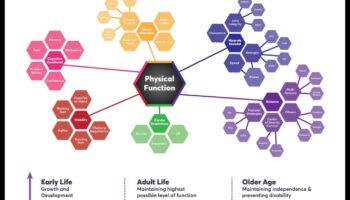 Agilitate fără vârstă: menținerea flexibilității și mobilității prin exerciții