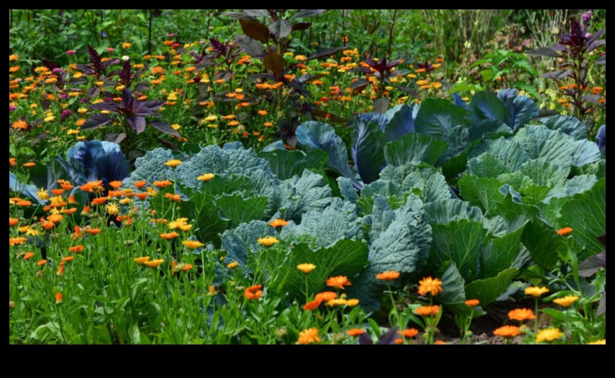 Însoțitori înfloriți: creșteți frumusețea cu plantarea însoțitoare