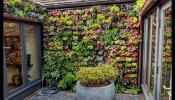 Elevated Greenery: The Poetry of Vertical Gardening