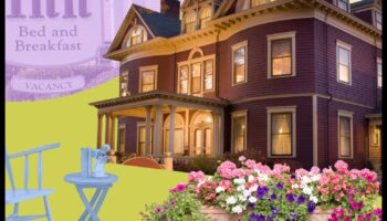 Haven Handbook: Un ghid cuprinzător pentru sejururi