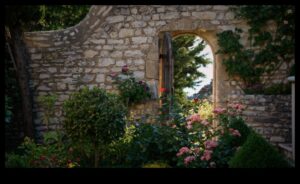 Fantezie florală: inspirații de bricolaj pentru o grădină plină de frumusețe