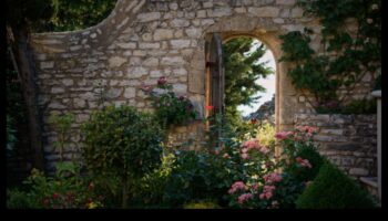 Fantezie florală: inspirații de bricolaj pentru o grădină plină de frumusețe