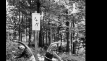 Antrenamente în pădure: exerciții în aer liber în păduri pașnice