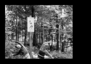 Mergeți pe trasee pentru un antrenament în pădure 7 Exerciții în aer liber în păduri liniștite 1 Antrenamente în pădure: exerciții în aer liber în păduri pașnice